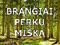 brangiai